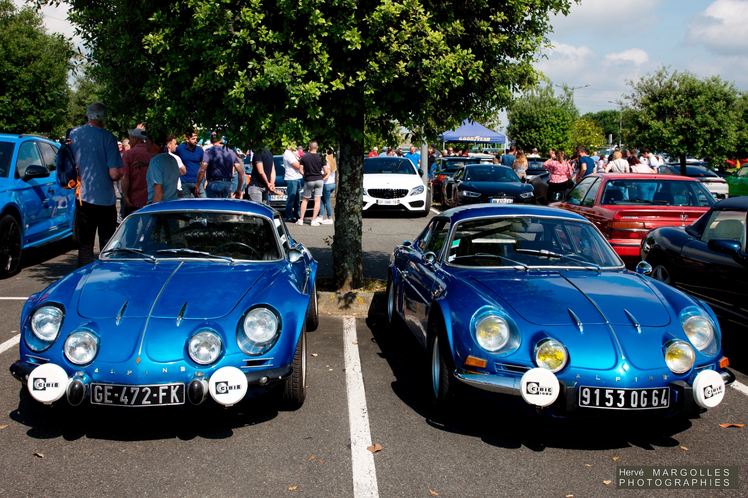 Alpine A110.jpg